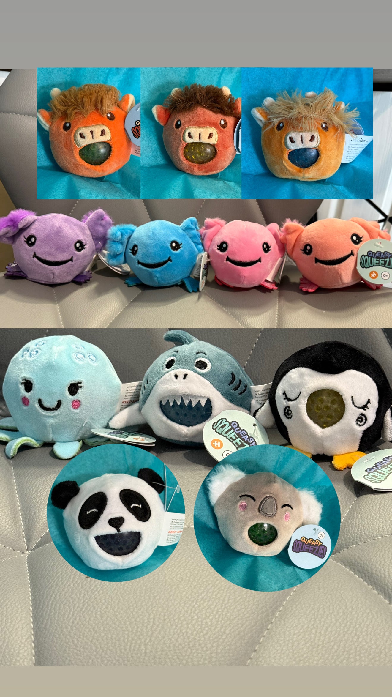 Queasy Squeezie Sensory Toy