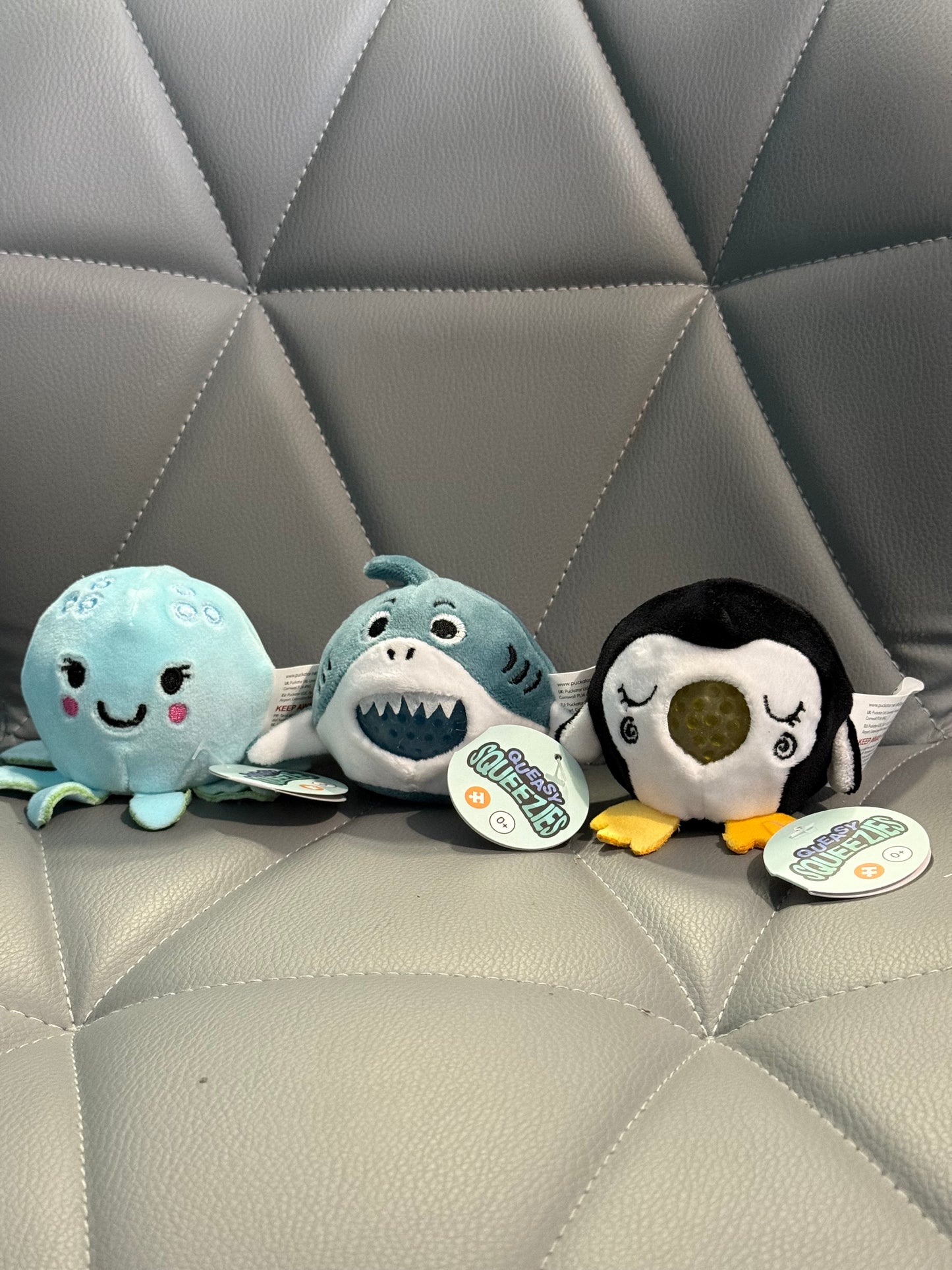 Queasy Squeezie Sensory Toy
