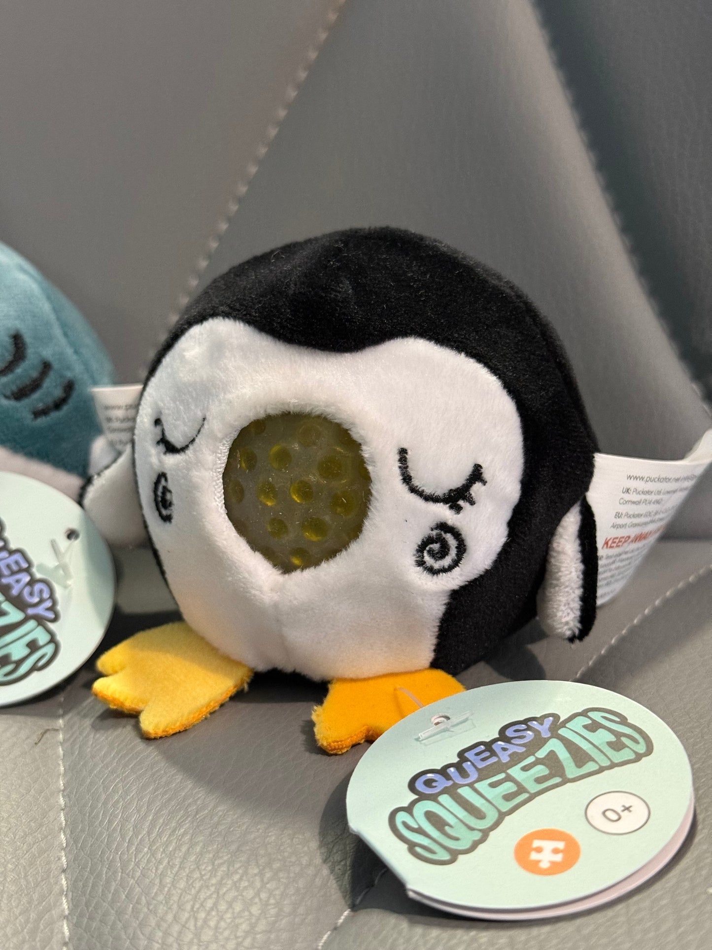 Queasy Squeezie Sensory Toy