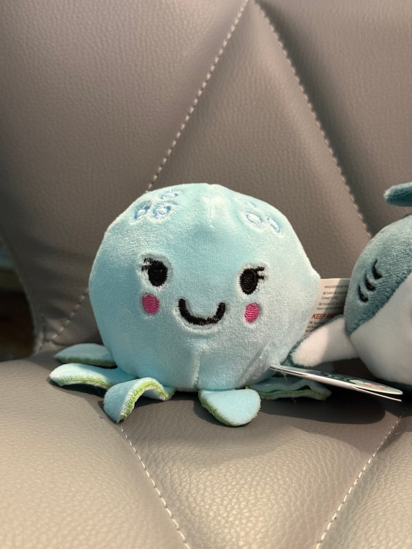 Queasy Squeezie Sensory Toy