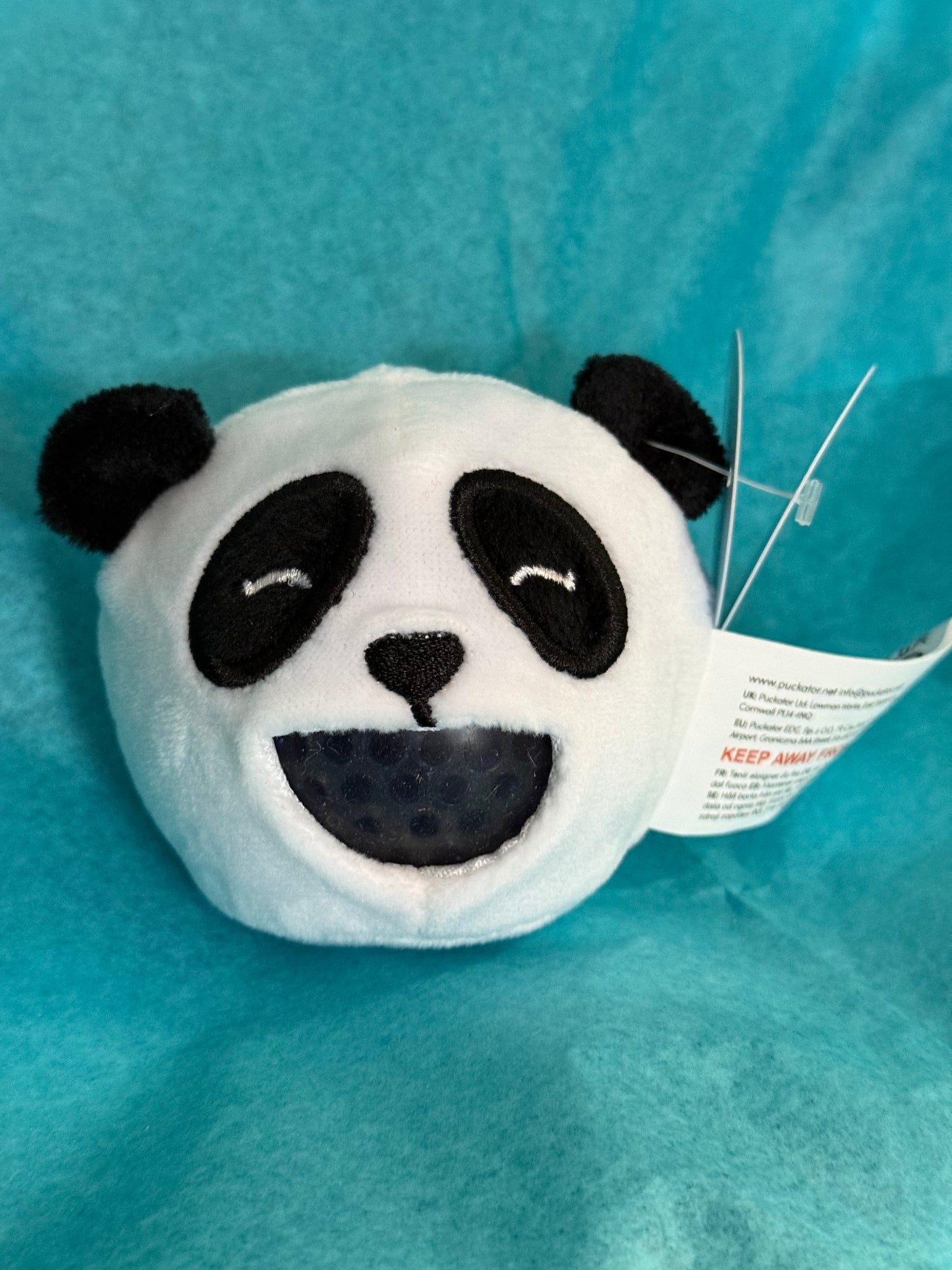 Queasy Squeezie Sensory Toy