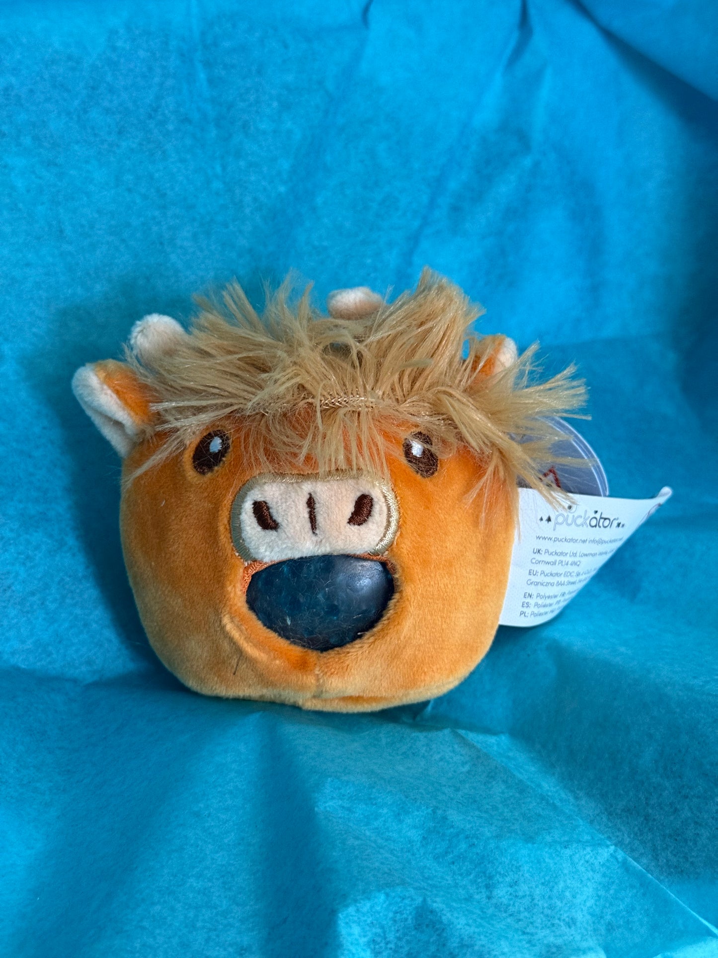 Queasy Squeezie Sensory Toy