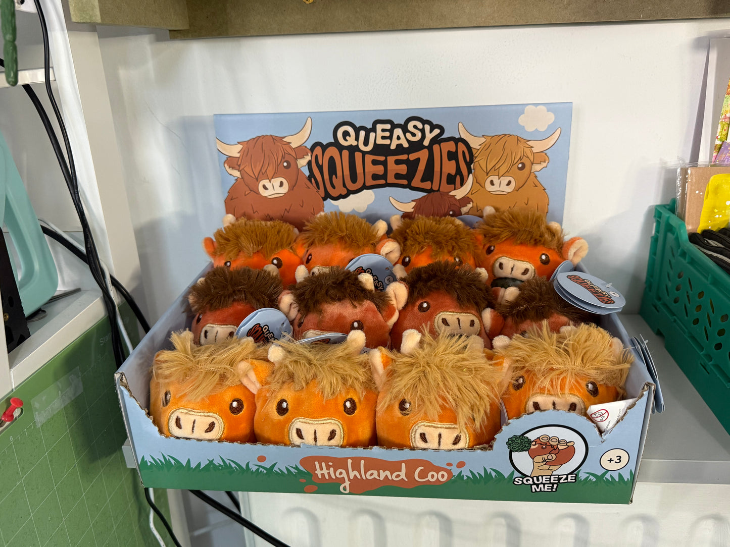 Queasy Squeezie Sensory Toy