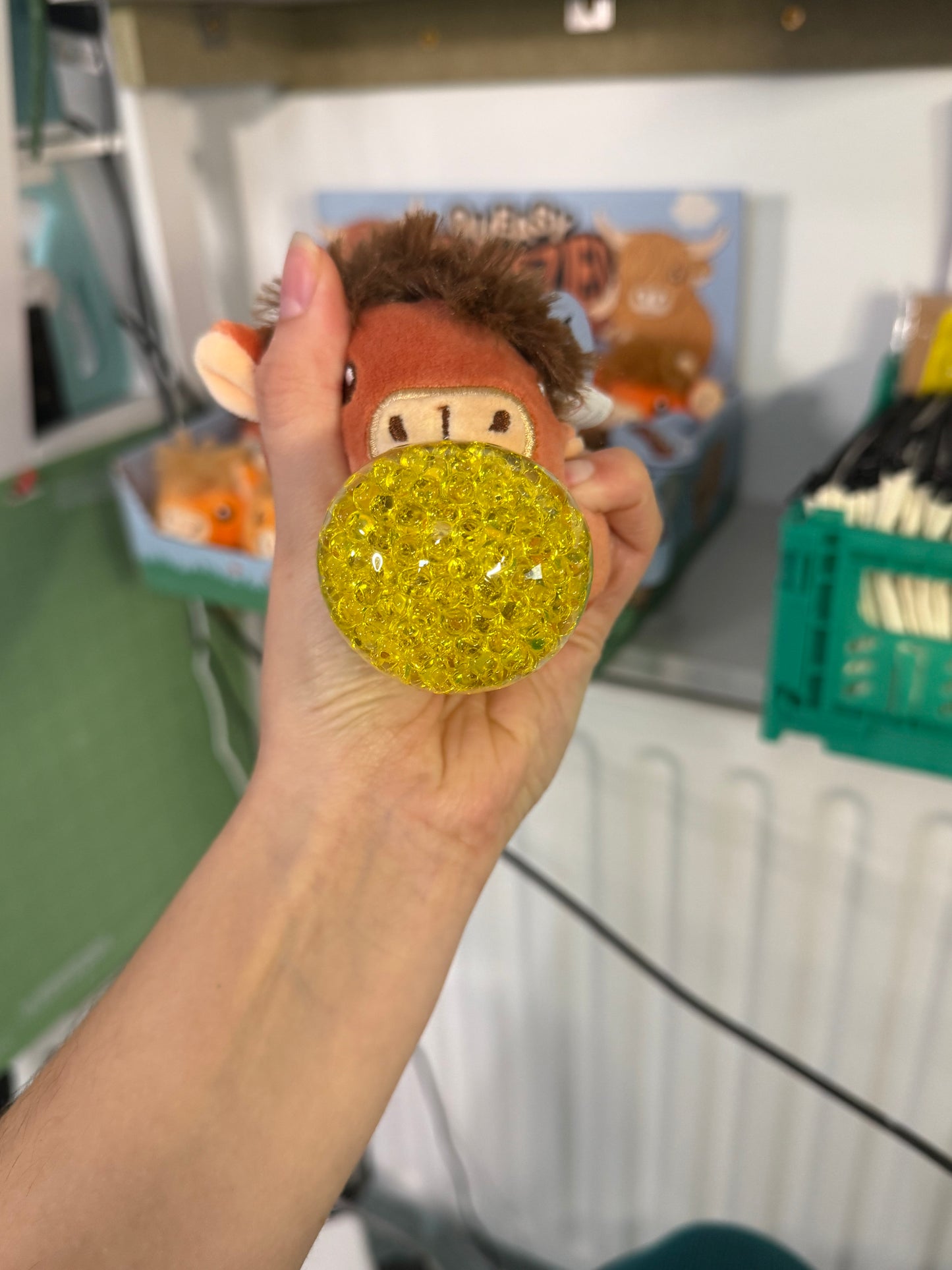 Queasy Squeezie Sensory Toy